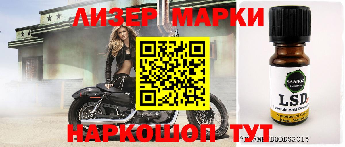 мега ССЫЛКА  Вход с VPN  Новозыбков  ЛСД экстази ecstasy 