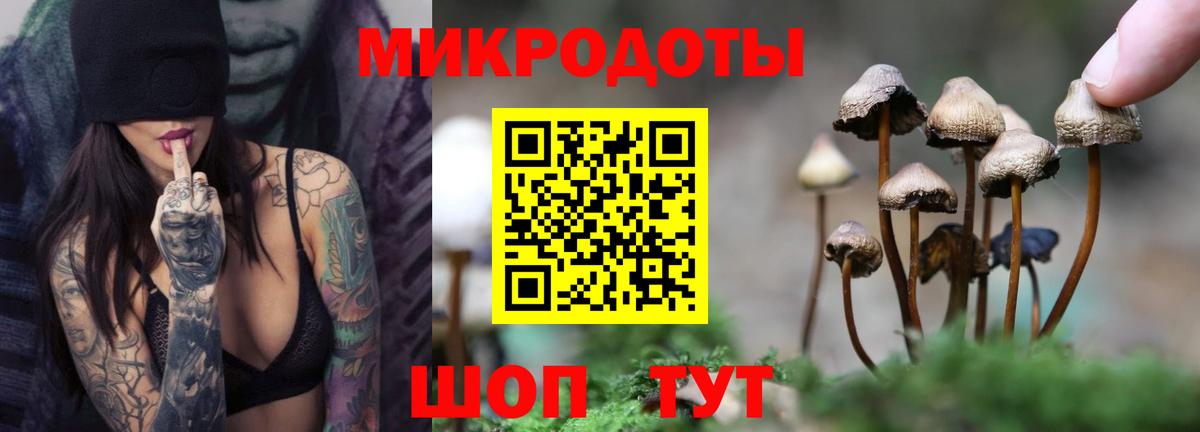 Псилоцибиновые грибы прущие грибы Новозыбков