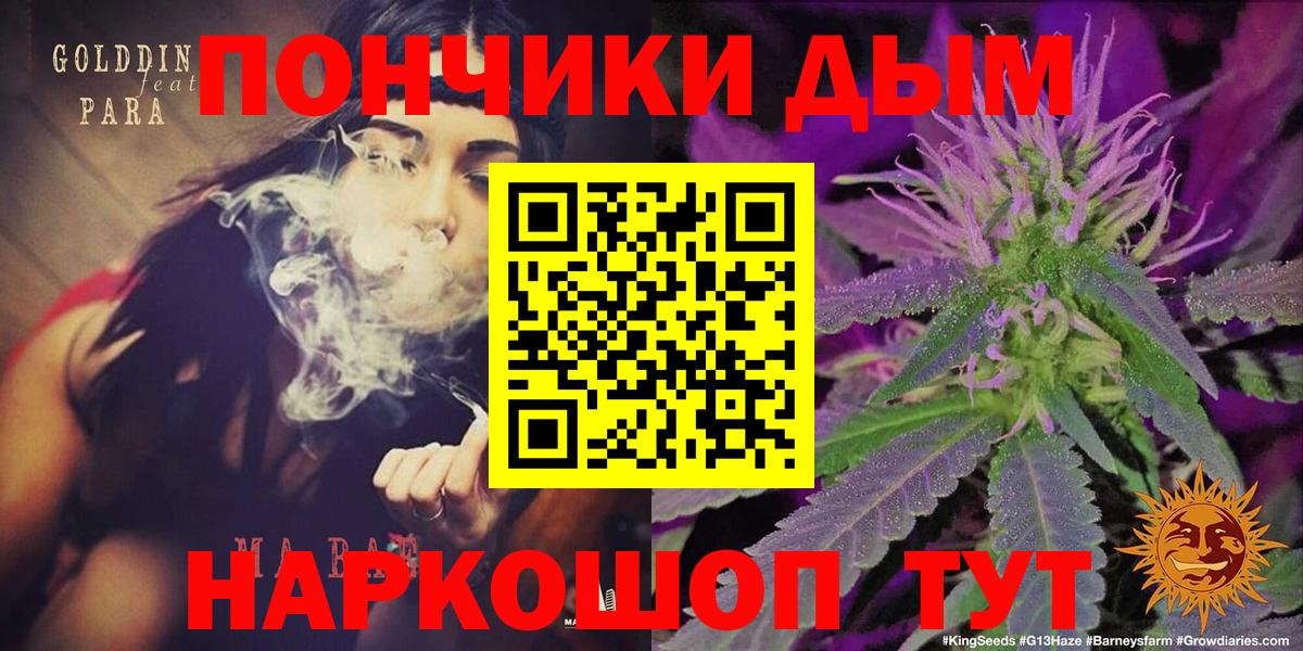 Бошки Шишки план  Каннабис семена  Каннабис VHQ  Бошки Шишки марихуана  Новозыбков  Вход с VPN 